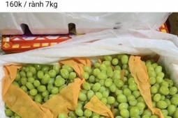 Nho Trung Quốc ngập chợ, giá chỉ từ 20 nghìn đồng/kg