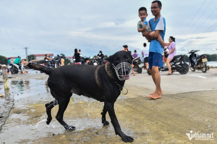 Bến Vôi thành điểm bơi lội sôi động giữa mùa nước ngập