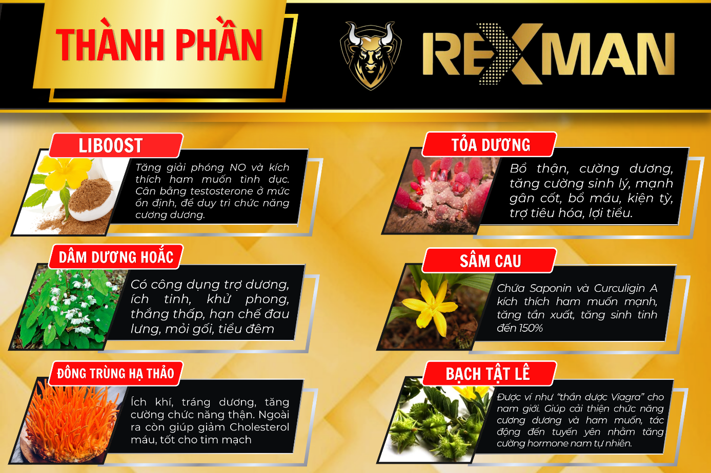 Viên uống Rexman là gì? Sử dụng thế nào để đạt hiệu quả tốt nhất? - 2
