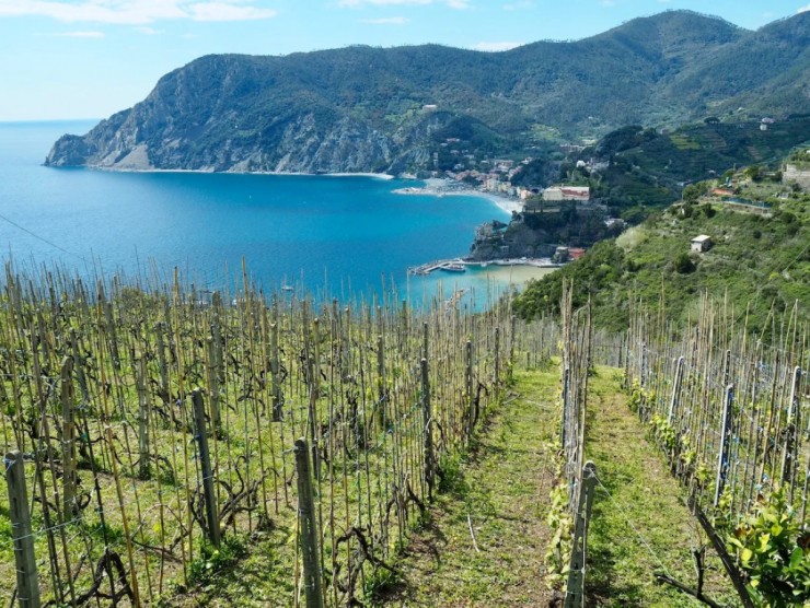 Con đường 'lãng mạn nhất thế giới' tái mở cửa - 9