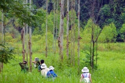 Kinh nghiệm đi Đồng Lâm và trekking Khe Dầu khi gặp nước lên