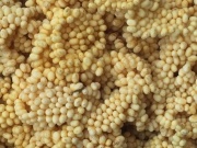 Thị trường - Tiêu dùng - Loại trứng đắt nhất Việt Nam: Hàng chục triệu đồng/kg vẫn "ùn ùn" người mua