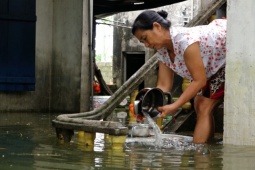 Tin tức trong ngày - Người dân rửa bát bằng nước lũ