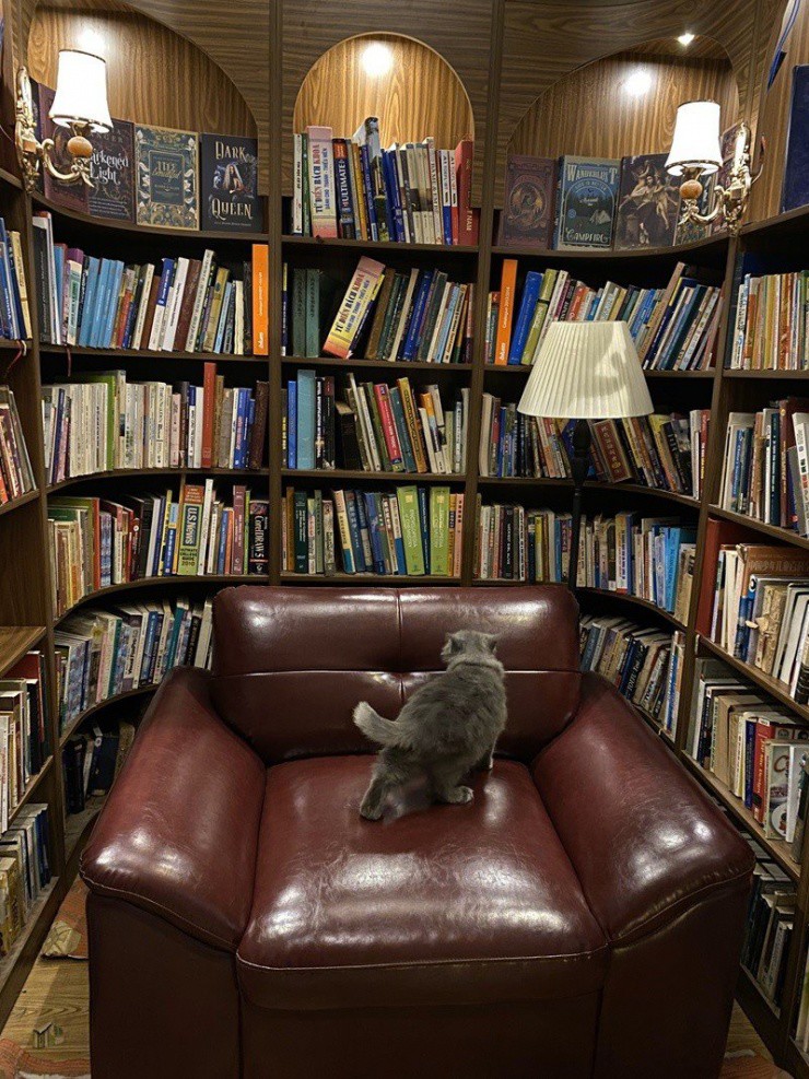 Lạc vào những quán cà phê có thư viện sách khổng lồ như phim hoạt hình Ghibli - 8