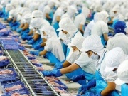 Thị trường - Tiêu dùng - Mỹ, Trung Quốc tăng mạnh nhập thủy sản Việt Nam