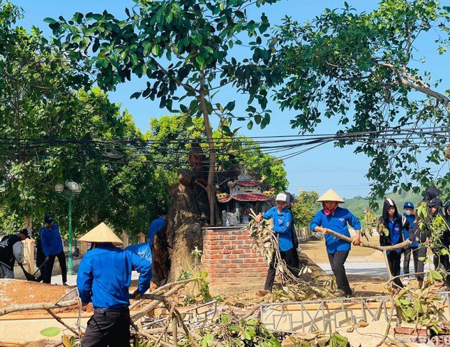 Cây đa Di tích lịch sử tại Nghệ An bất ngờ gãy đổ, gợi nhắc dấu ấn thời gian