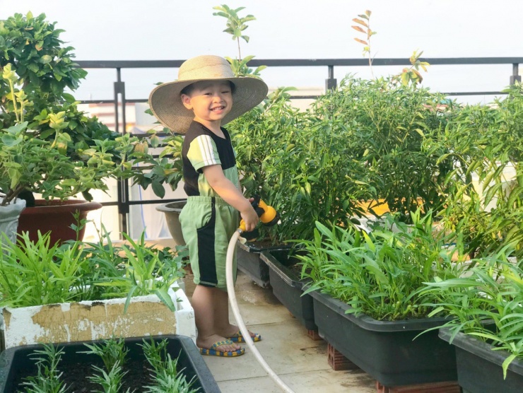 Vườn sân thượng giúp nàng dâu &#39;ghi điểm&#39; với mẹ chồng - 8