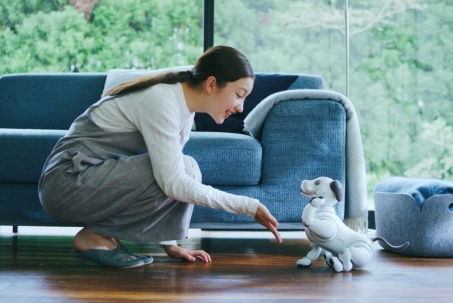 Chó robot trí tuệ nhân tạo ra mắt phiên bản đặc biệt giá gần 50 triệu...