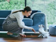 Thời trang Hi-tech - Chó robot trí tuệ nhân tạo ra mắt phiên bản đặc biệt giá gần 50 triệu đồng