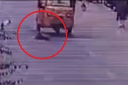 Đâm trúng con chó nằm giữa đường, người đàn ông đi xe lam tử vong