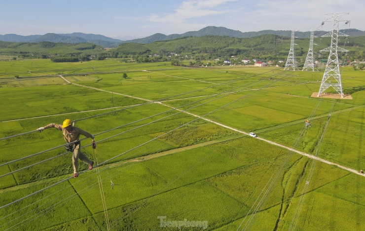 Người nhện trên cung đường dây: Vượt gian nan, thách thức để cấp điện miền Bắc