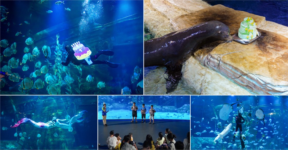 Những chương trình đặc sắc thu hút khách tham quan tại Thủy cung Lotte World Hà Nội.