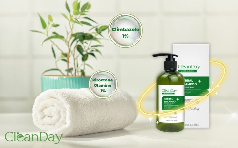 CleanDay - Thương hiệu Việt vì sức khỏe người Việt - 2
