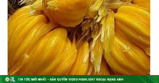 Loại mít 