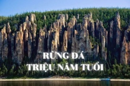 Du lịch - Rừng đá hàng triệu năm tuổi, khung cảnh gây choáng ngợp