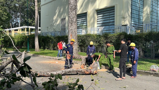 Bi kịch tại Công viên Tao Đàn: Nhánh cây khổng lồ đè tử vong 2 người