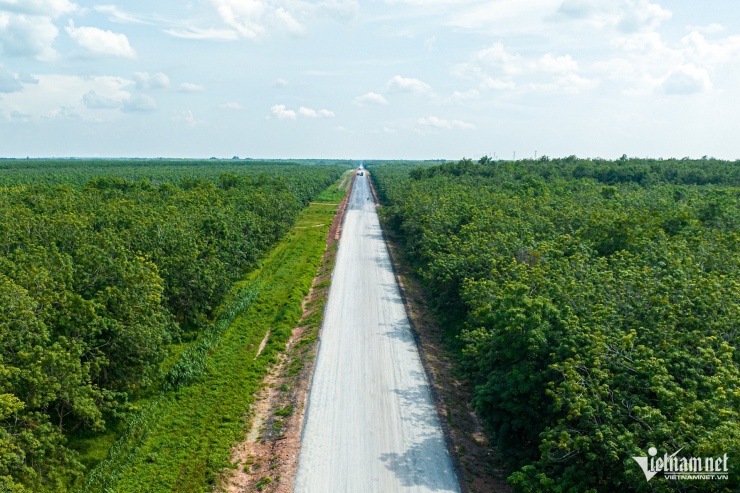 Đường Hồ Chí Minh Chơn Thành - Đức Hòa: Huy động lực lượng, đảm bảo tiến độ thông xe kỹ thuật