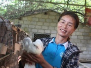 Thị trường - Tiêu dùng - Thoát nghèo nhờ mô hình nuôi dúi và chim bồ câu Pháp