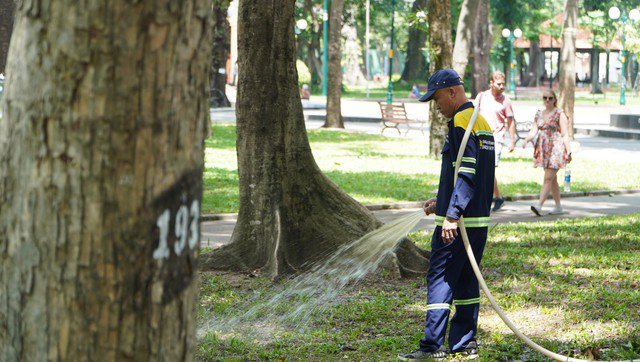 Công nhân chăm sóc cây xanh tại công viên Tao Đàn