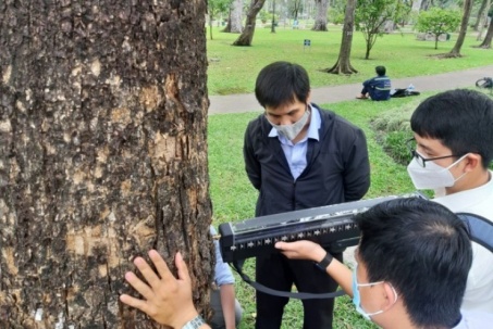 Kiểm tra cây xanh đang bất cập: Phương tiện hiện đại vẫn chưa được ứng dụng rộng rãi