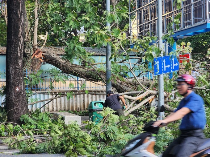 Nhánh cây khổng lồ đỗ rầm chắn ngang đường ở vòng xoay Công Trường Quốc Tế, TP.HCM