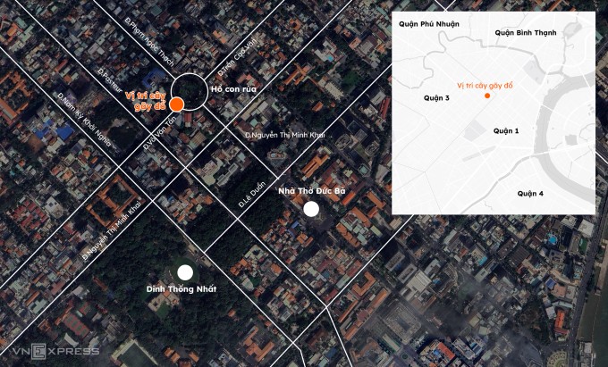  Vị trí cây gãy  đổ. Đồ họa: Khánh Hoàng  