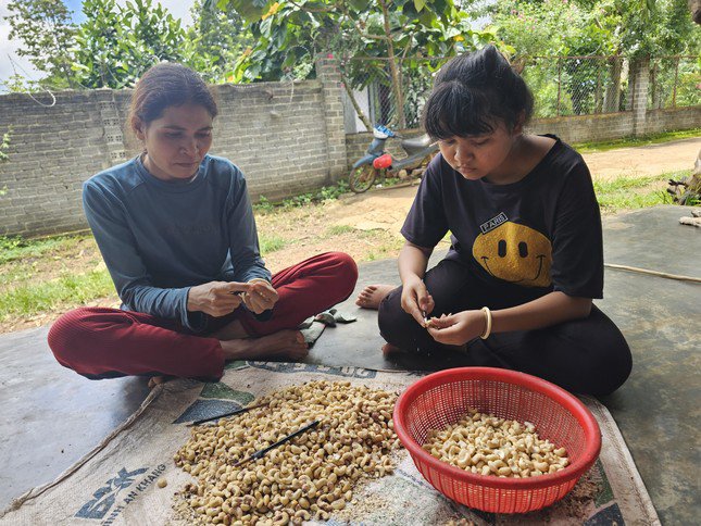 Ngổn ngang nỗi lo đầu năm học: 'Ma trận' những khoản thu - 1