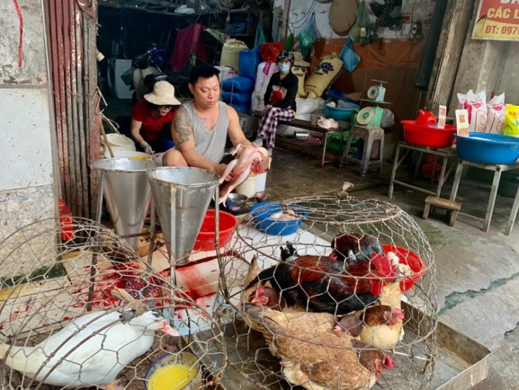 Một tiểu thương khác chuyên bán gà lông ở chợ Nghĩa Đô cho biết, giá gà lông vẫn giữ nguyên như ngày thường. Khi chúng tôi hỏi ngày mai và ngày kia (14 và 15 tháng 7 âm lịch) giá có tăng không thì tiểu thương này nói chưa biết, còn phụ thuộc vào giá nhập.&nbsp;