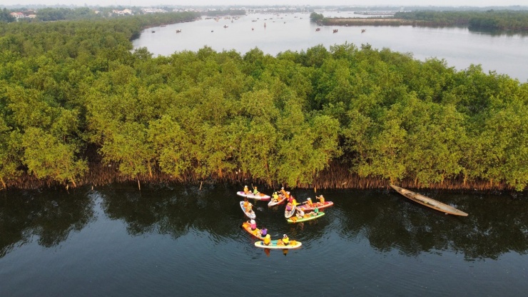 Trước bức tranh thiên nhiên tuyệt đẹp với cảnh sông nước, cây cối xanh ngắt bao trùm, mọi người trầm trồ trước vẻ đẹp thiên nhiên hoang sơ và yên bình ở phá Tam Giang.