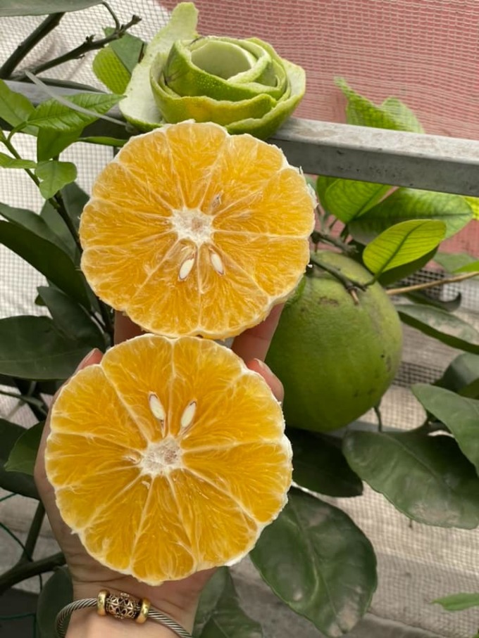 Nữ bác sĩ làm &#39;vườn rau trái trên không&#39; - 11