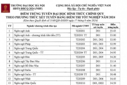 Giáo dục - du học - ĐH Hà Nội công bố điểm chuẩn 2024, ngành Ngôn ngữ Trung lấy điểm cao nhất