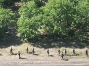 Thế giới - Báo Nga đăng video hàng chục binh sĩ Lữ đoàn Cơ giới số 22 của quân đội Ukraine đầu hàng ở Kursk