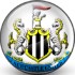 Logo Newcastle