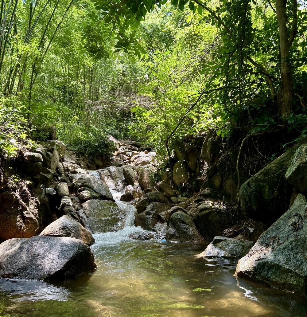 Vào mùa khô, con suối cạn trơ đáy nhưng khi mùa mưa đến, suối Ô Đá như khoác lên mình một chiếc áo mới. Cảnh sắc nơi đây trở nên hấp dẫn, thu hút đông đảo du khách đến vui chơi và tận hưởng không gian trong lành, mát mẻ giữa thiên nhiên tươi đẹp.