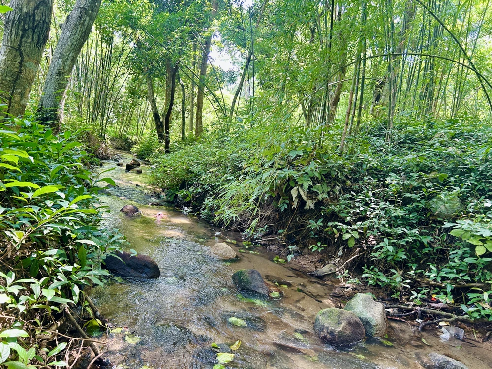 Suối Ô Đá nằm tại thị trấn Ba Chúc, huyện Tri Tôn có làn nước mát trong, len lỏi qua từng khe đá dưới chân Ngọa Long Sơn (núi Dài) sống động.