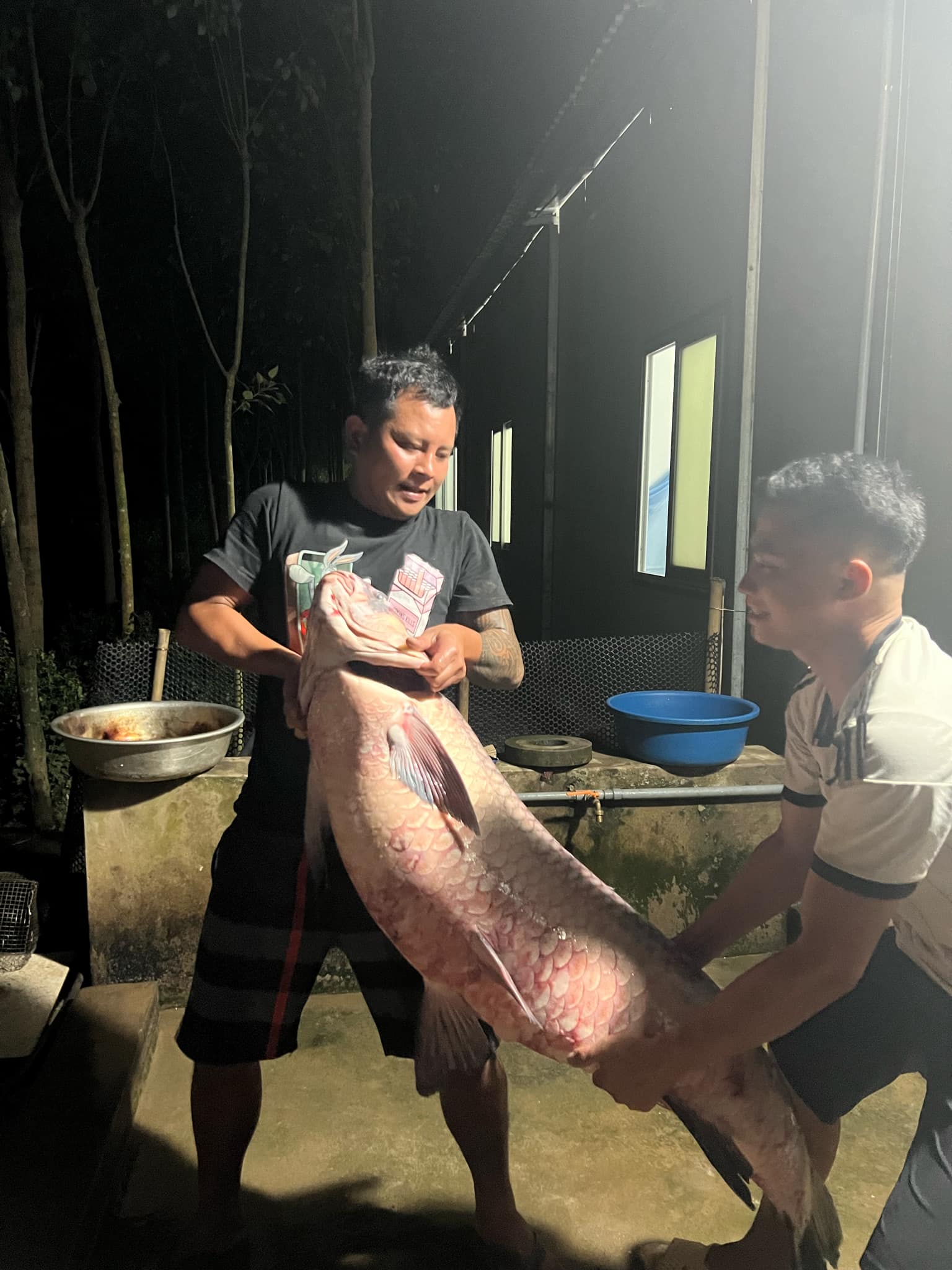Con cá trắm đen được đánh bắt ở hồ Thác Bà nặng hơn 50kg.