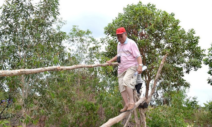 GS Võ Tòng Xuân đi cầu khỉ khi khảo sát thực địa ở rừng U Minh, Kiên Giang, năm 2021. Ảnh: Tư liệu