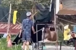 Du lịch - Du khách bức xúc vì dịch vụ chụp ảnh với chó ở Đà Lạt