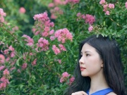 Du lịch - Rực rỡ những con đường hoa tường vi giữa lòng Hà Nội