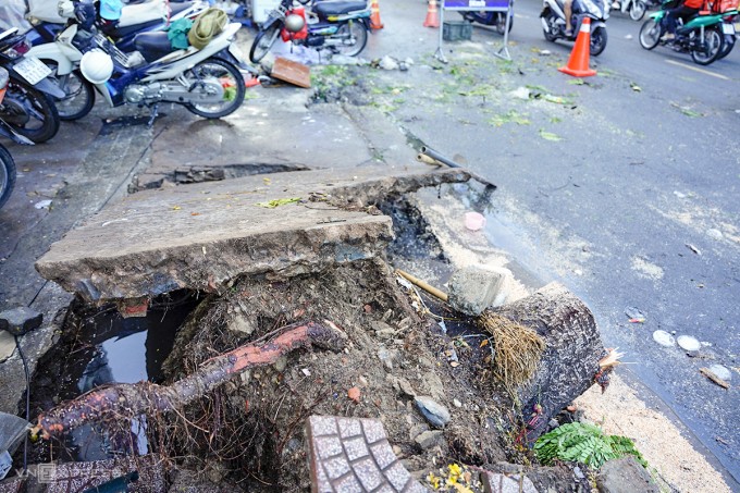 Cây bật gốc đè trúng người bán nước ở Đà Nẵng, may mắn được giải cứu