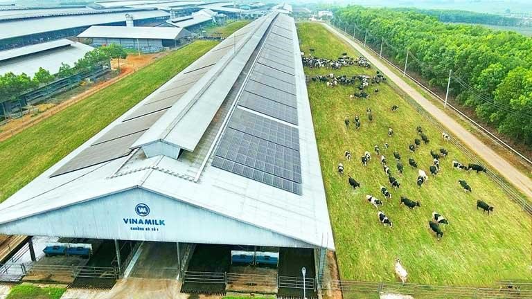 Âu Việt cấp van điện từ cho dự án chặn nuôi bò sữa tại xã Yên Mỹ