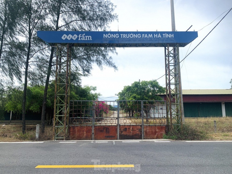 ‘Khai tử’ dự án nông nghiệp công nghệ cao hơn 300 tỷ ở Hà Tĩnh - 2