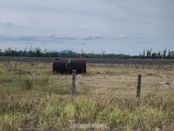 “Dự án này bị bỏ hoang khá lâu không sản xuất, cử tri kiến nghị rất nhiều lần. Hiện nay dự án nông nghiệp công nghệ cao đã có thông báo tạm dừng hoạt động. Nhưng địa phương vẫn mong muốn ngành chức năng tiếp tục quan tâm, chỉ đạo khai thác, giao lại cho nhân dân hoặc tổ hợp, hợp tác xã sản xuất nhằm tạo ra thu nhập và môi trường sinh trên vùng đất cát bạc màu", lãnh đạo UBND xã Thạch Văn, huyện Thạch Hà cho biết.