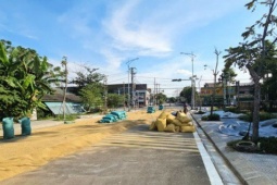 Kinh doanh - Đường hàng chục tỷ đồng làm xong chỉ để… phơi lúa