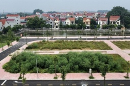 Kinh doanh - Nóng bỏng tay nghề 'đấu giá bán chênh', độc chiêu thổi giá đất