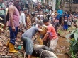 Indonesia: Rạch bụng cá sấu ăn thịt người