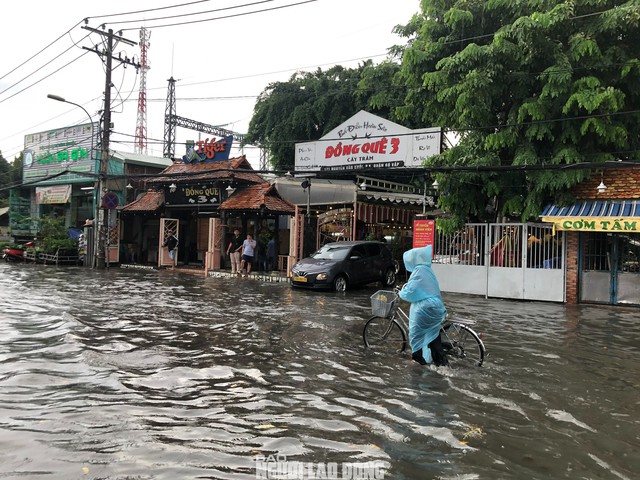 Mưa Lớn Hoành Hành TP HCM, Gây Ngập Nhiều Tuyến Đường