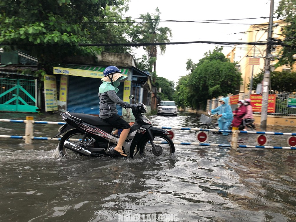 Mưa Lớn Hoành Hành TP HCM, Gây Ngập Nhiều Tuyến Đường