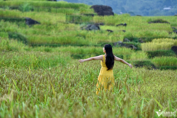 Pù Luông có cảnh quan ấn tượng, thu hút du khách. Ảnh: Linh Trang