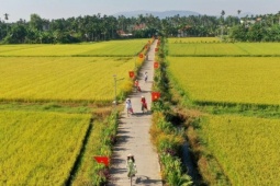 Du lịch - Mùa thu vàng mê hoặc du khách trên cánh đồng lúa chín miền Trung